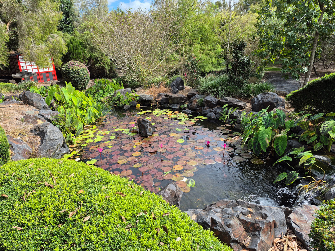 Bundaberg Botanic Gardens-邦德堡必去景点