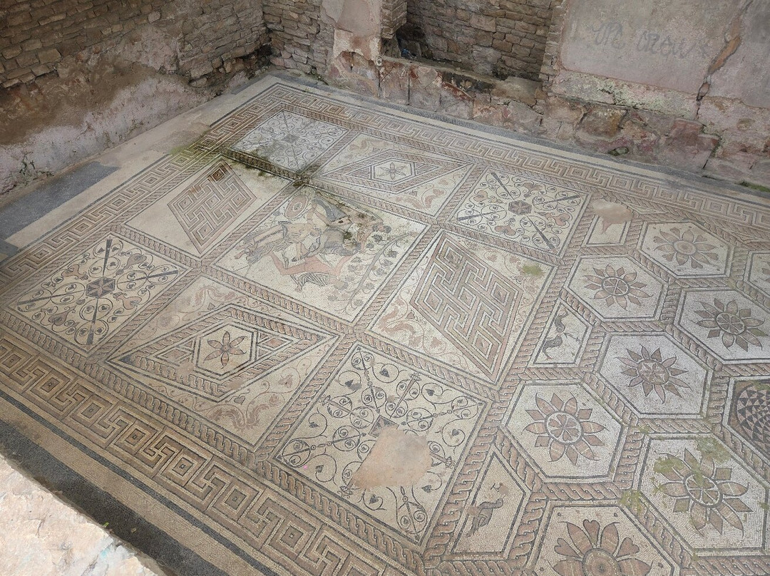 Floor mosaic The Punishment of Dirce-普拉必去景点
