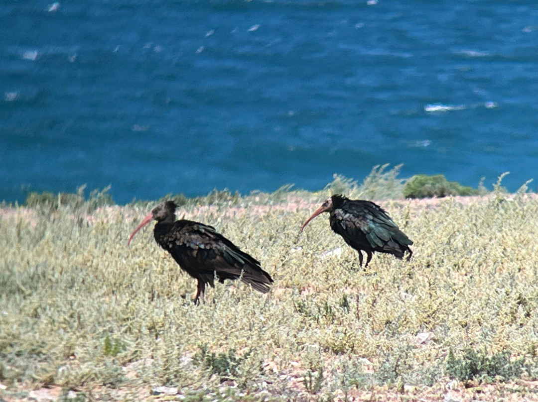 Parc Nacional de Souss-Massa-Takate必去景点