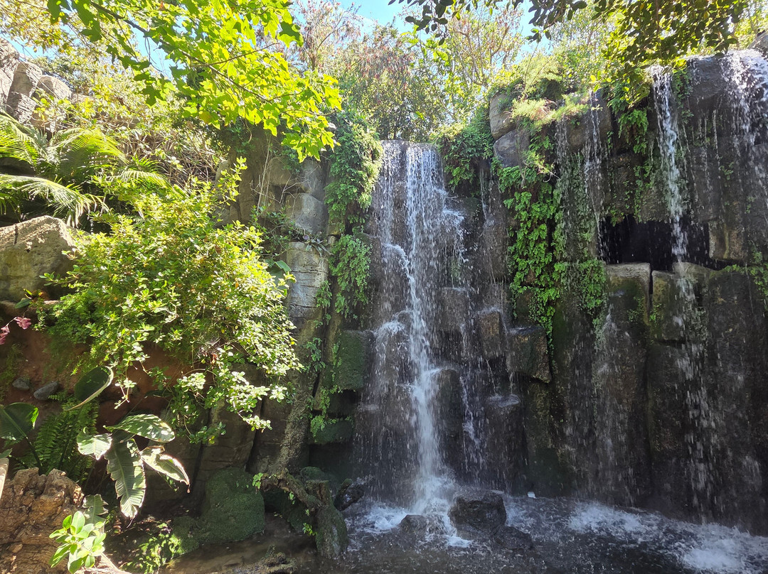 巴尔马水族馆-马洛卡帕尔马必去景点