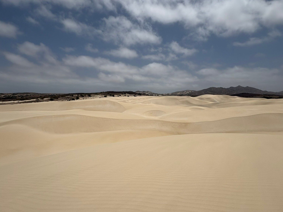 Pier Boa Vista Tours-博阿维斯塔必去景点