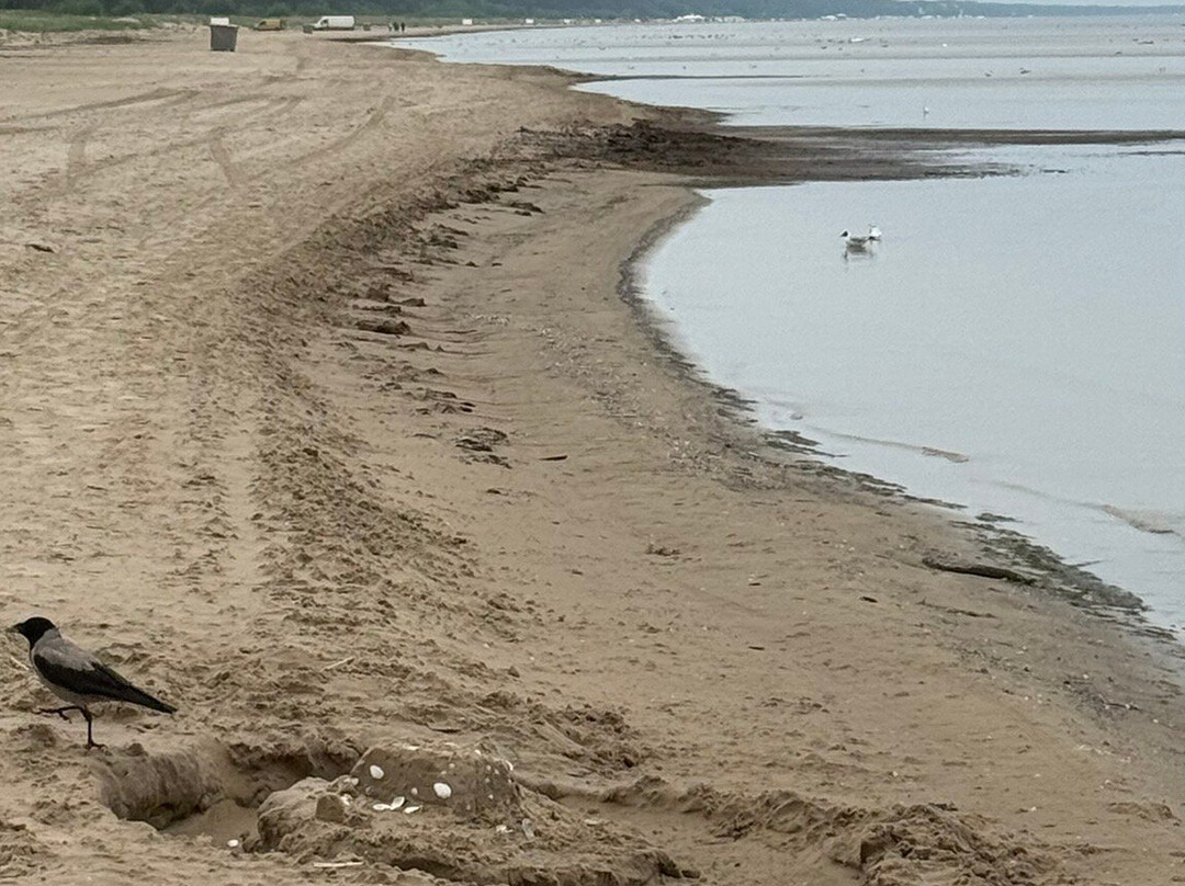 Jurmala Beach-尤尔马拉必去景点