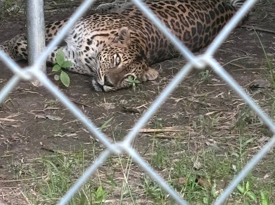 Wildlife Friends Foundation Thailand-他央必去景点