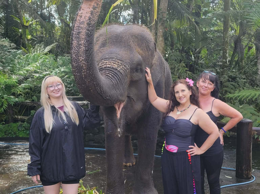 Bali Customized Tours-Batubulan必去景点