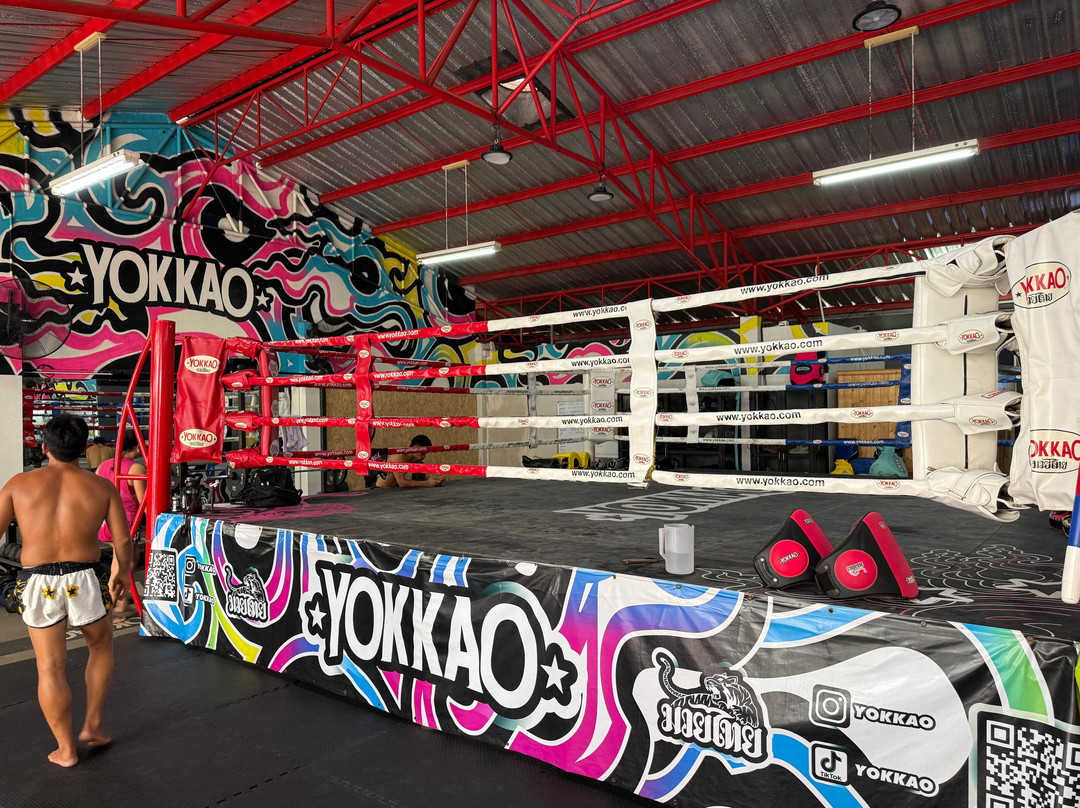 Yokkao  Training Center Bangkok-曼谷必去景点