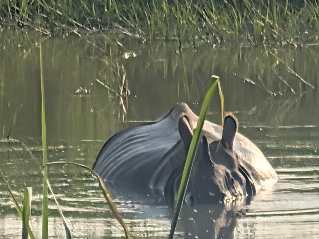 Kishanpur Wildlife Sanctuary-Bhira必去景点