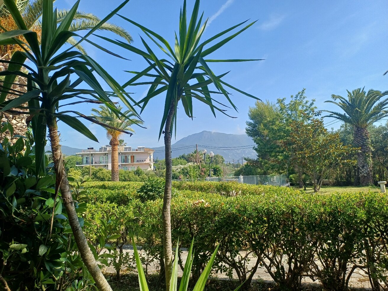 Livadi Nafsika Hotel-旅行者