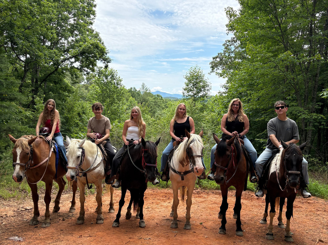 Blanche Manor Horseback Riding-Copperhill必去景点