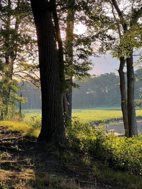 Lazy L At Willow Creek Bed & Breakfast-旅行者