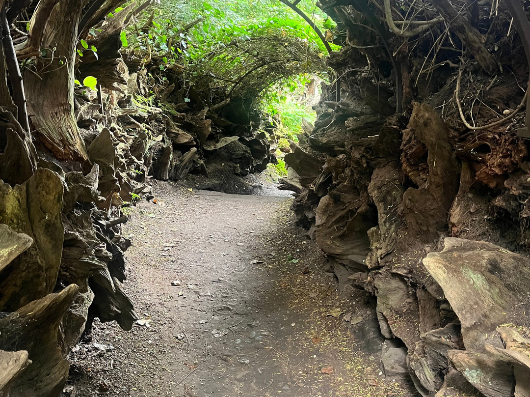 Biddulph Grange Garden-Biddulph必去景点
