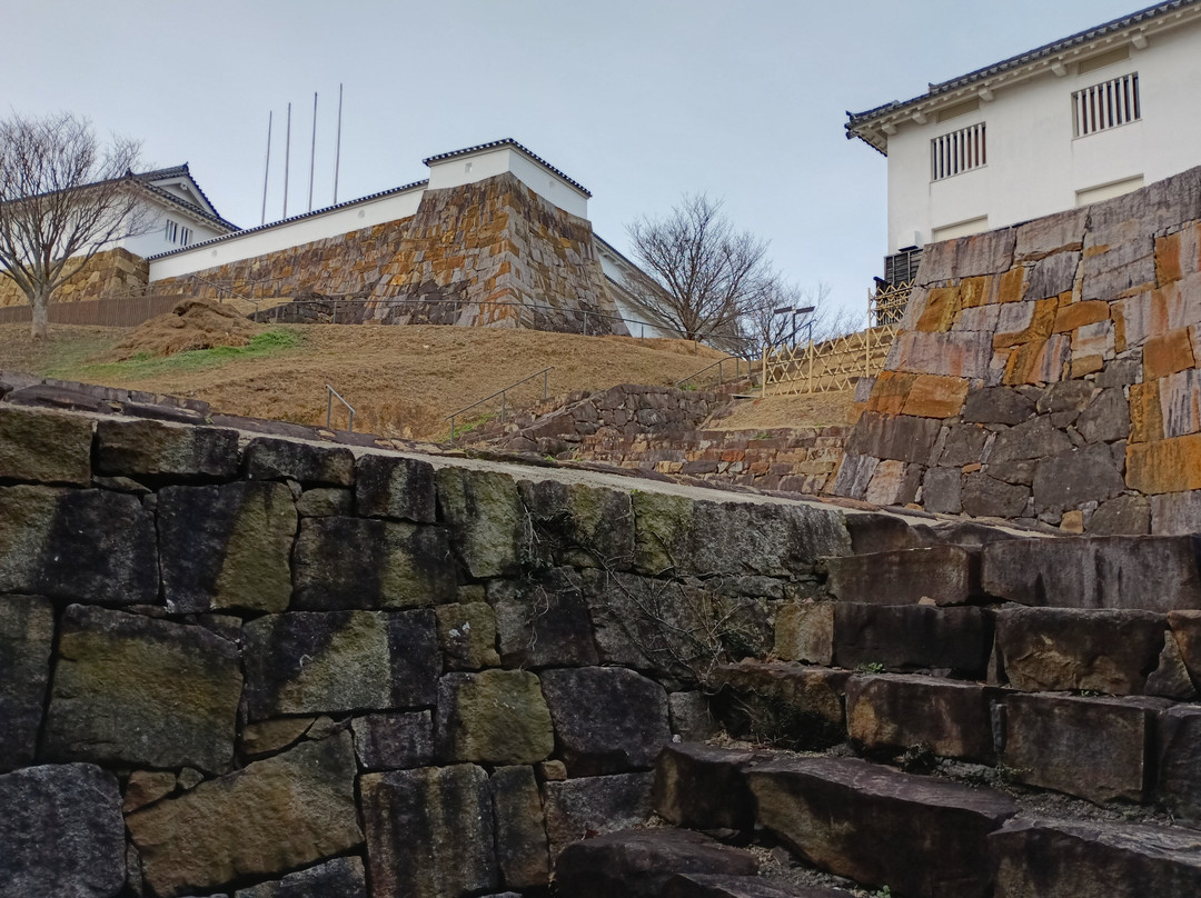 Tomioka Castle-苓北町必去景点