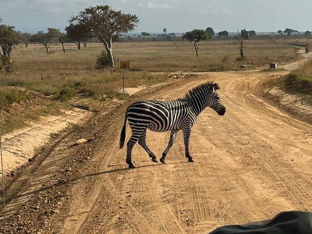 NICE ADVENTURE SAFARI-Dar es Salaam必去景点