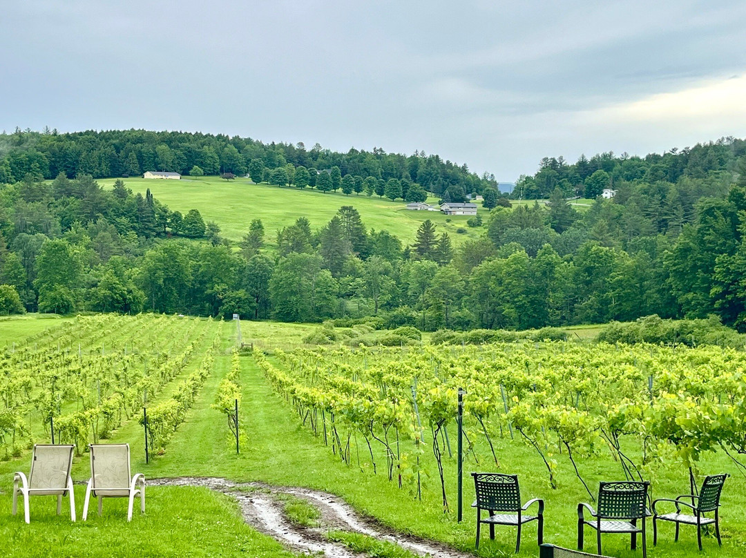 North Branch Vineyards-Middlesex必去景点
