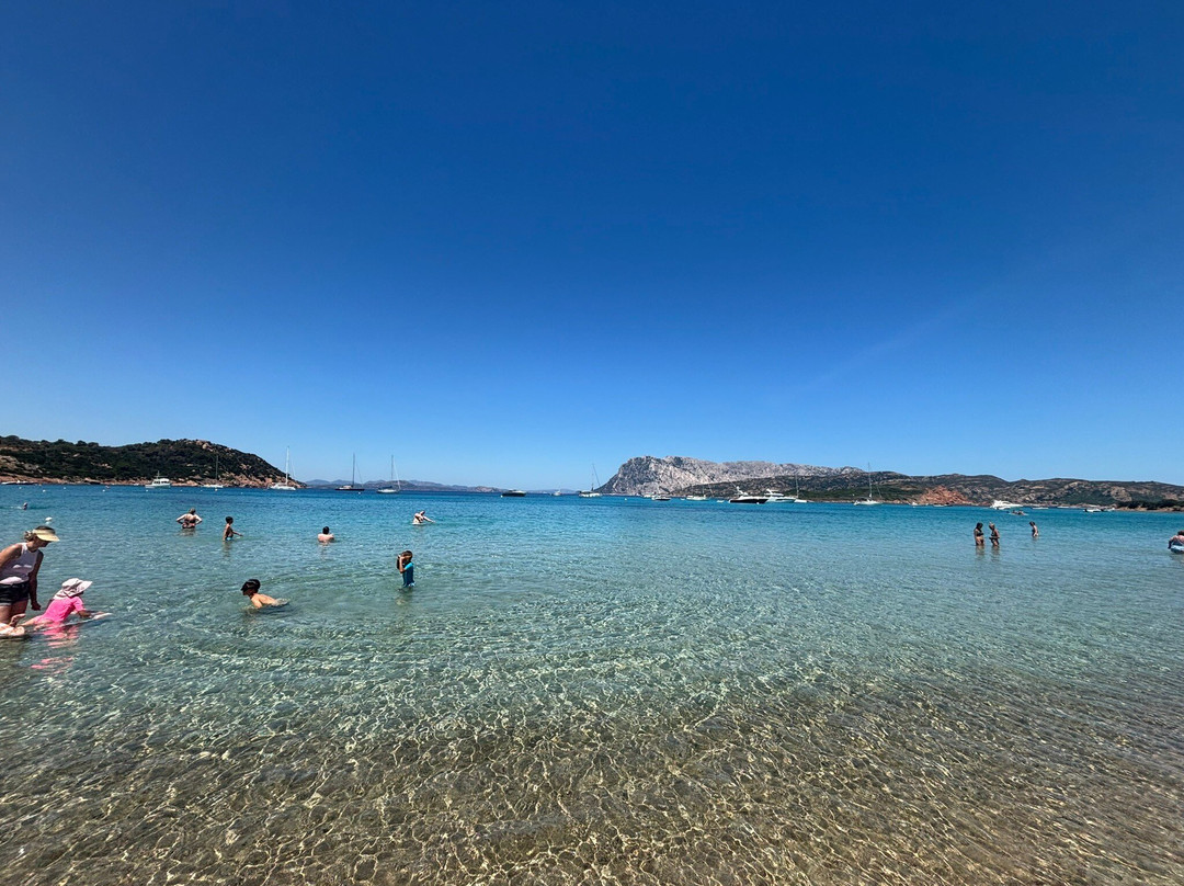 Spiaggia Capo Coda Cavallo-San Teodoro必去景点