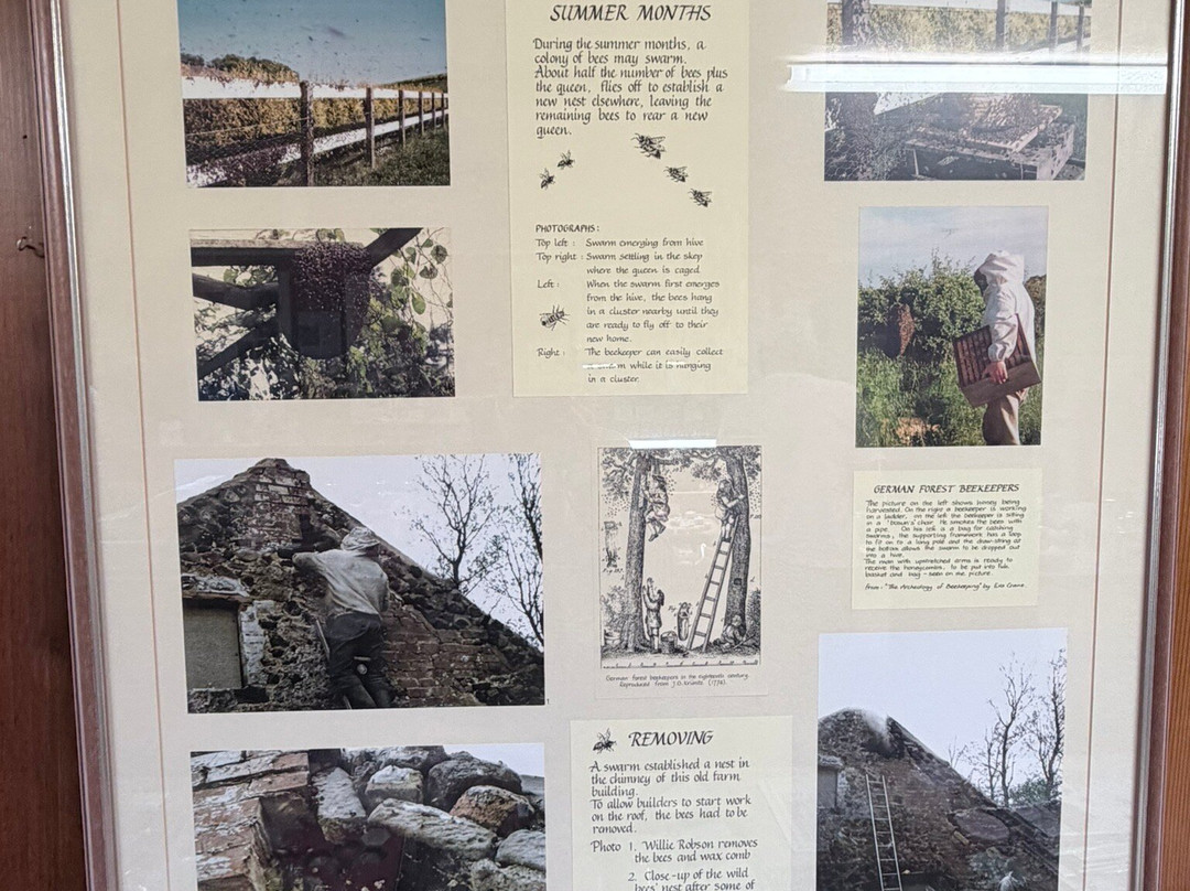 Chain Bridge Honey Farm-特威德河畔贝里克必去景点