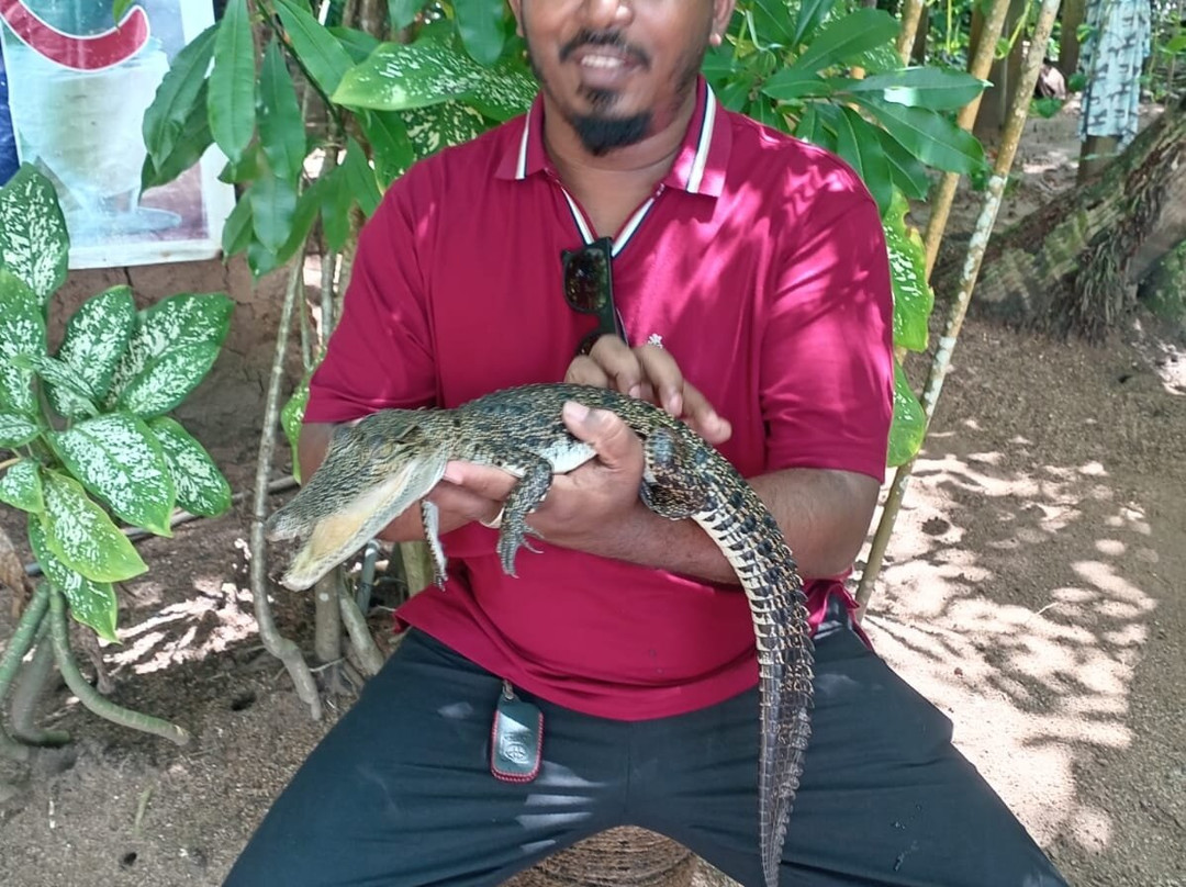 Sri Lanka driver booking & tours plc-Nawalapitiya必去景点