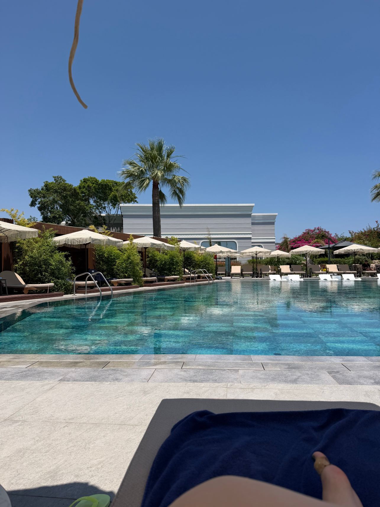 Merit Royal Gardens Hotel & Casino-泳池