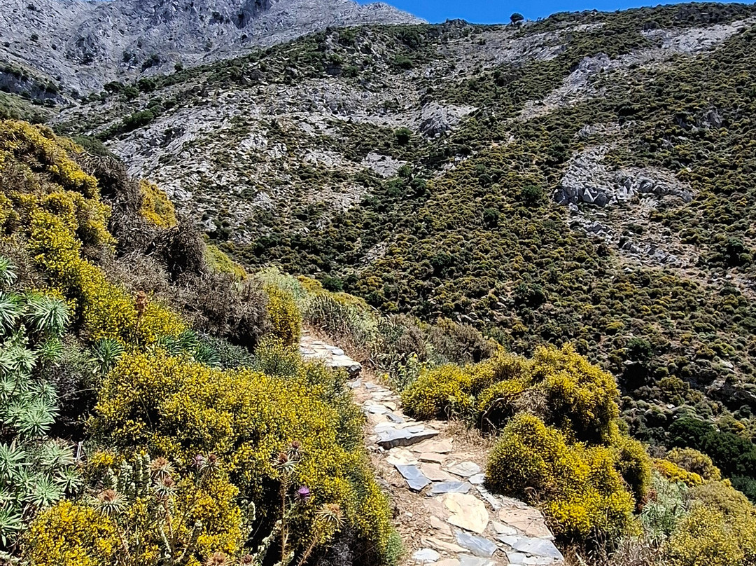Cave of Zeus-Drimalia必去景点