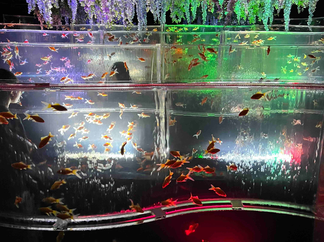 Art Aquarium-Ginza必去景点