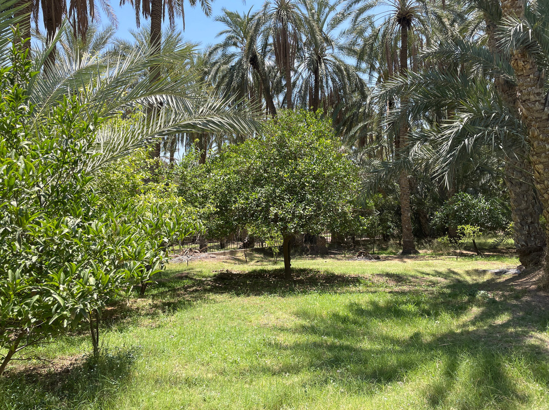 Mides Valley-Tozeur Governorate必去景点