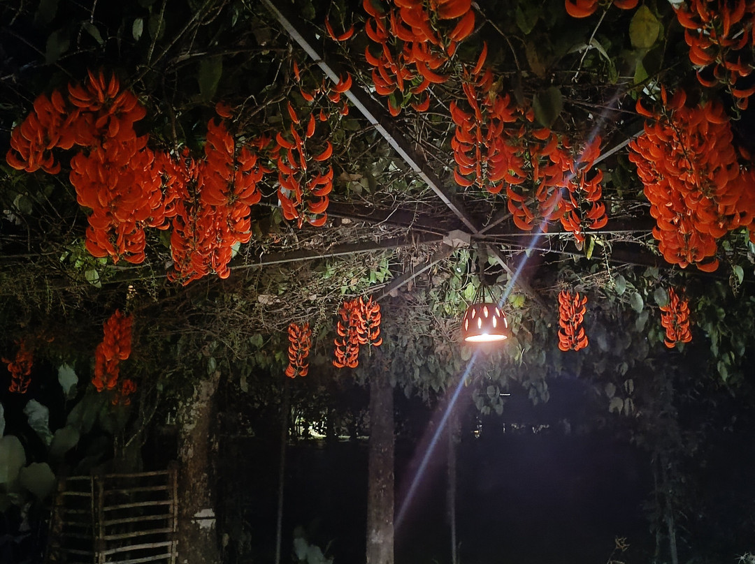 Crystal Kuruva Nature Resort & Spa主图