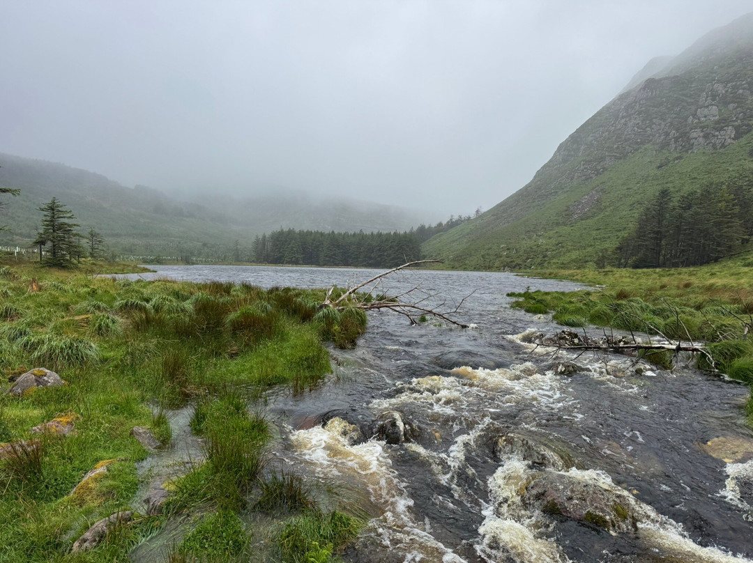 Glanteenassig Wood-Castlegregory必去景点