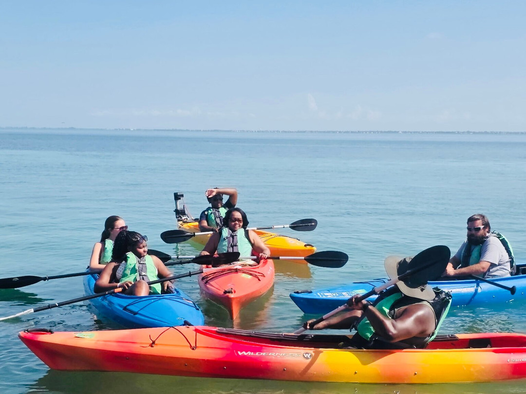 Sarasota Paddleboard Company-萨拉索塔必去景点