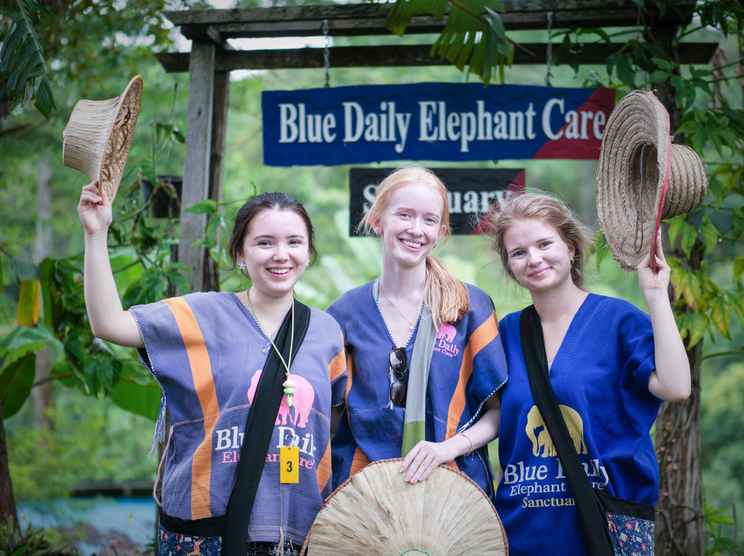 Blue Daily Elephant Care Sanctuary-清迈必去景点