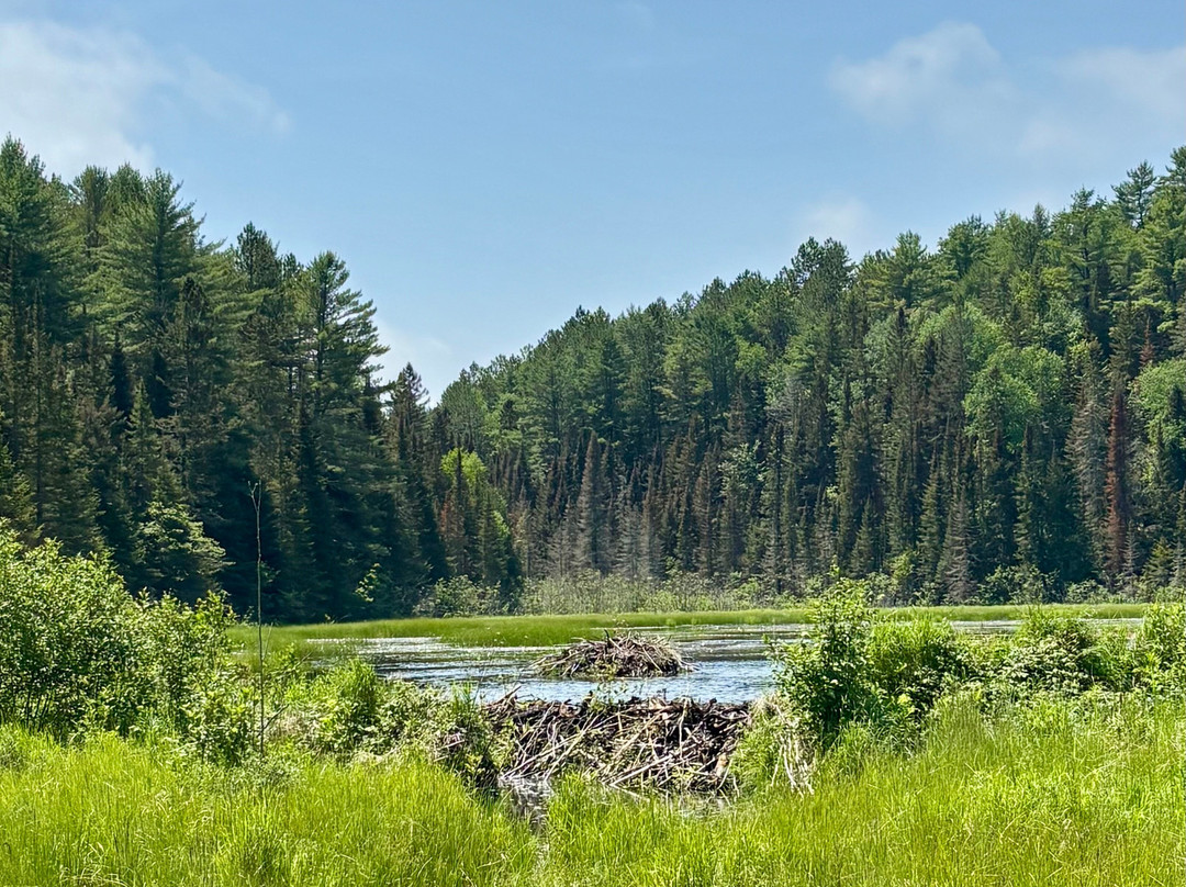 Algonquin Logging Museum-阿冈昆公园必去景点