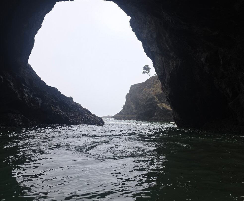 Secret Beach-布鲁金斯必去景点