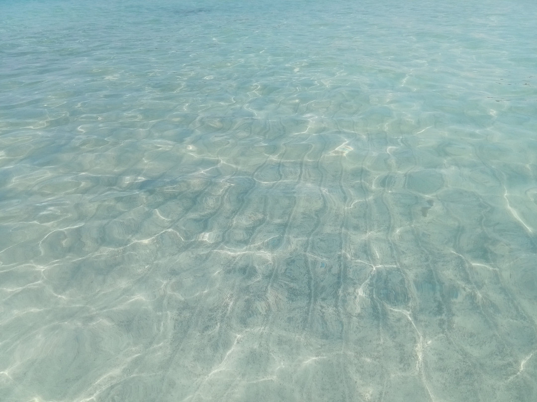Spiagge Bianche-滨海罗西尼亚诺必去景点