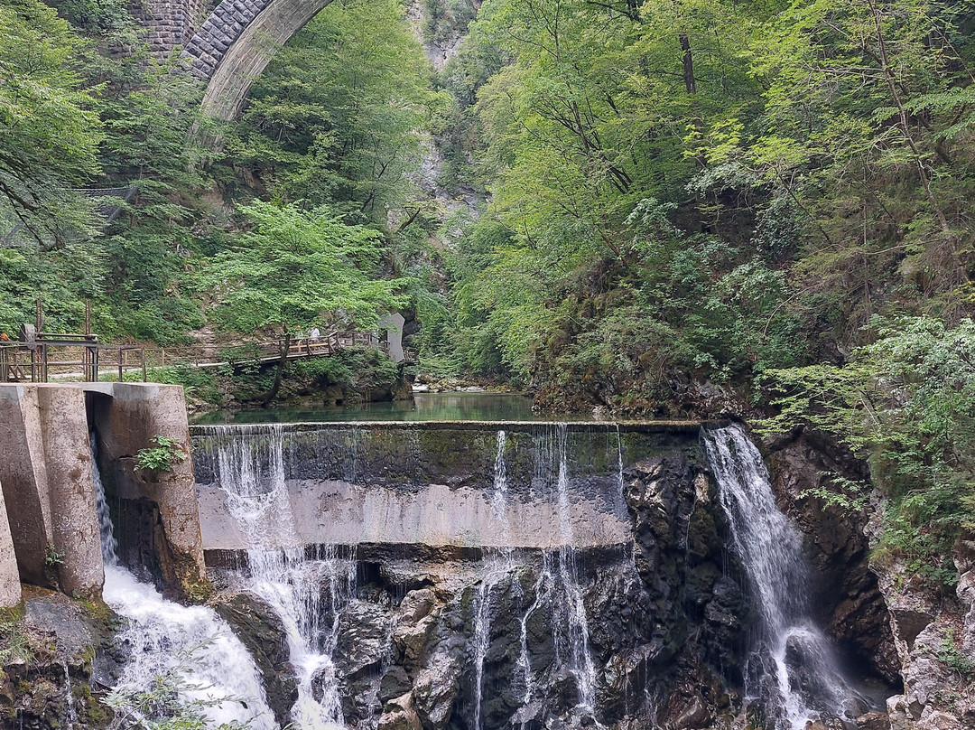 文特加峡谷（Soteska Vintgar）-Zgornje Gorje必去景点