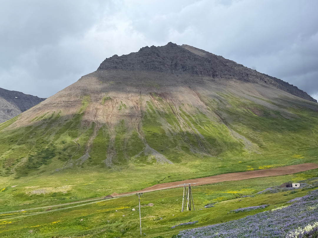 Wild Westfjords-伊萨菲厄泽必去景点