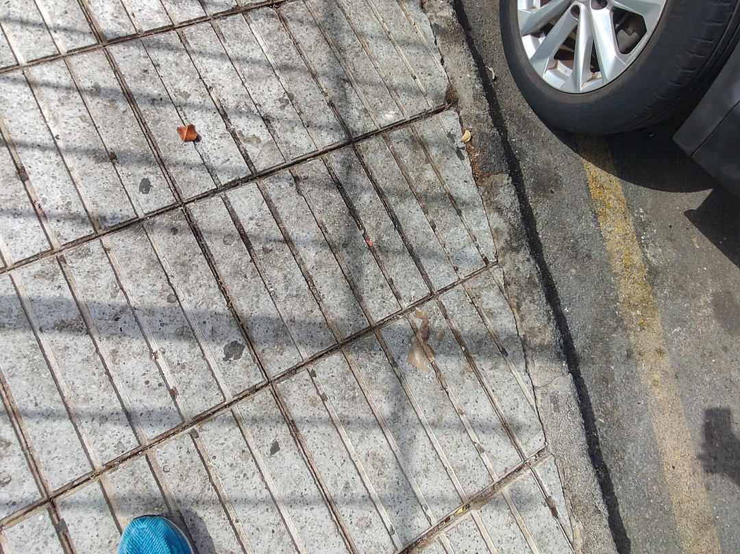Playa Del Ingles-英国人海滩必去景点