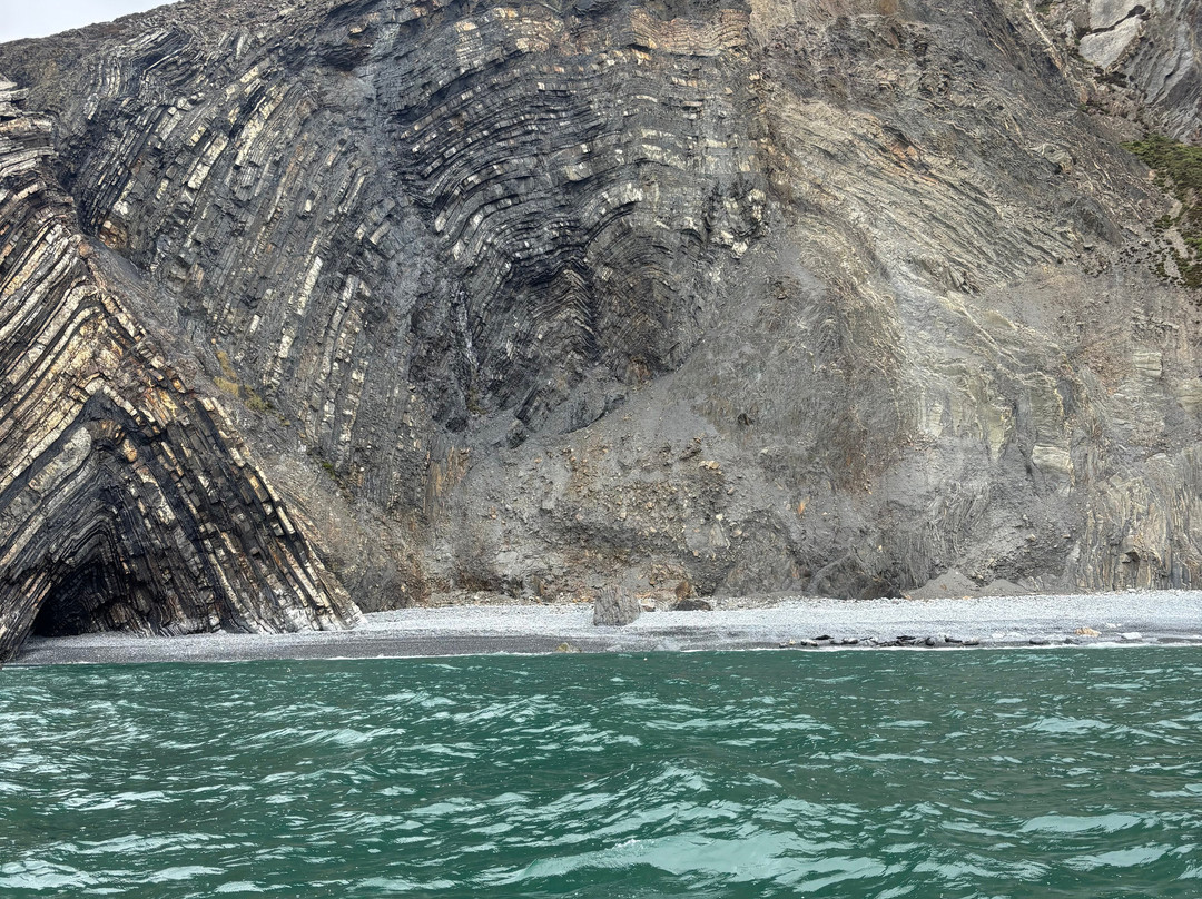 A Bay To Remember Wildlife Boat Trips-St. Dogmaels必去景点