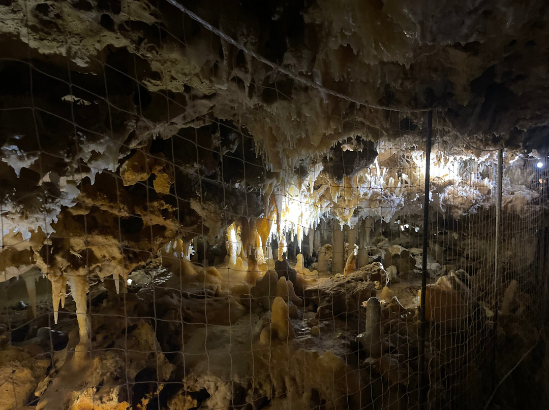 Grotte du Grand Roc-Les Eyzies-de-Tayac-Sireuil必去景点