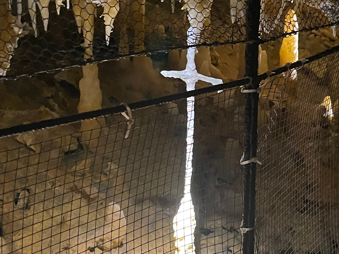 Grotte du Grand Roc-Les Eyzies-de-Tayac-Sireuil必去景点