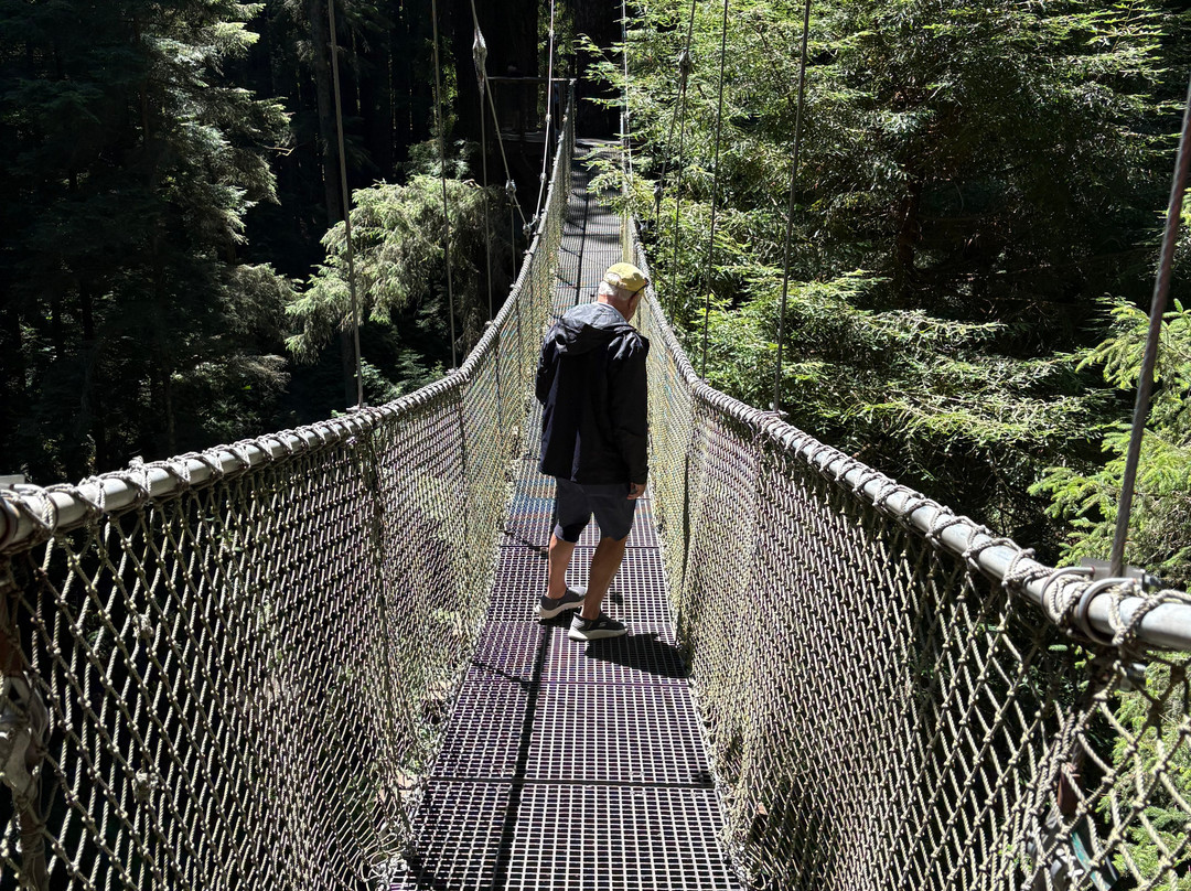 Sequoia Park-尤里卡必去景点