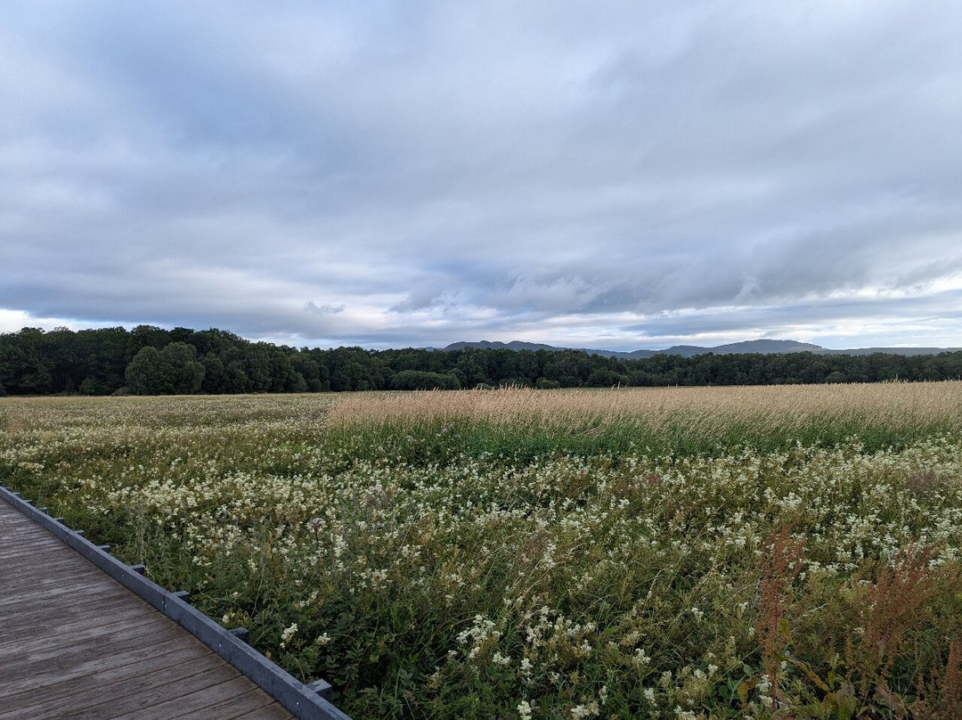 RSPB Scotland Loch Lomond-Gartocharn必去景点