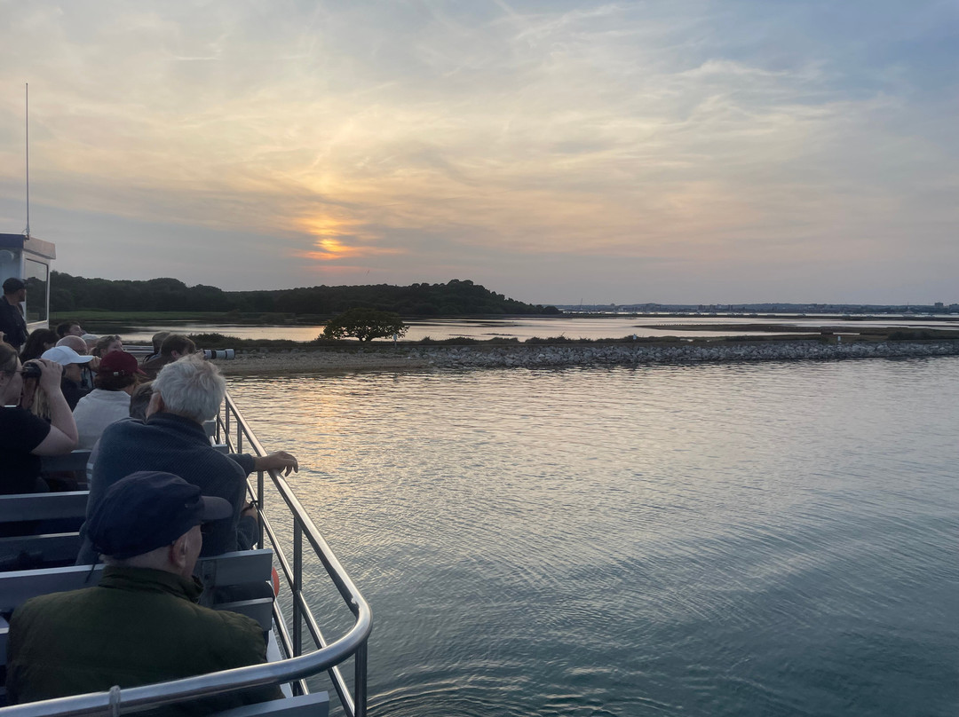 Birds Of Poole Harbour Events-普尔必去景点