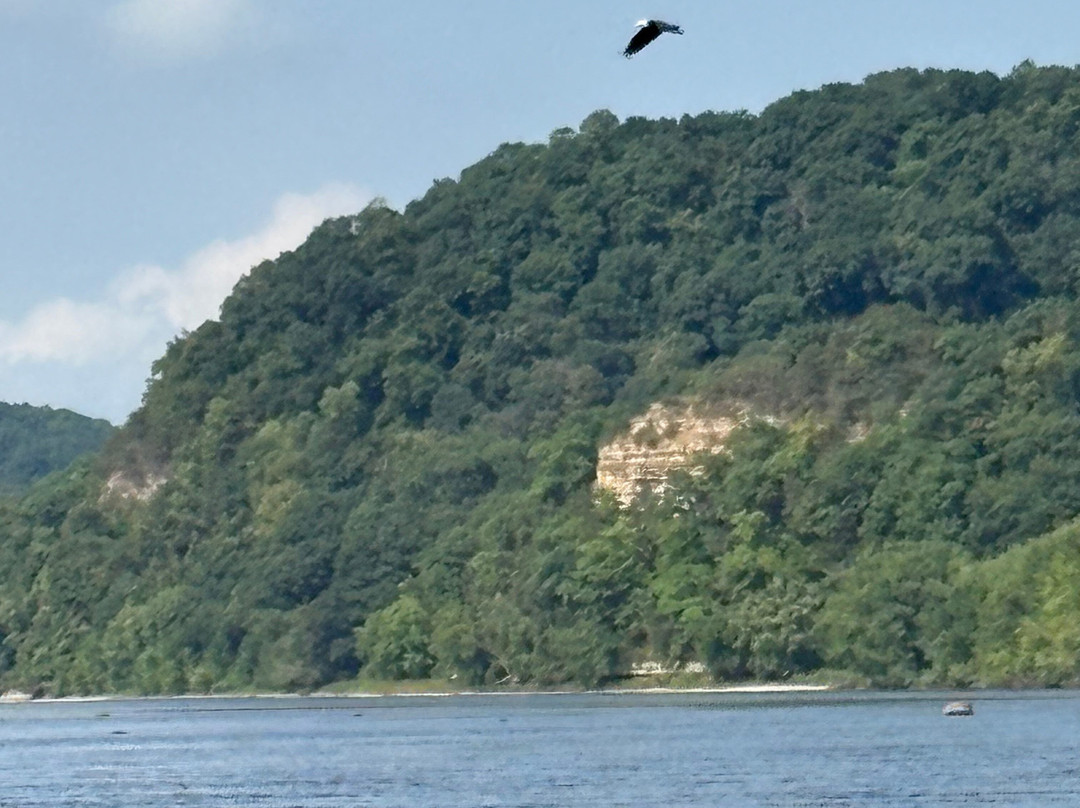 Bender's Bluff View Canoe Rentals-Sauk City必去景点