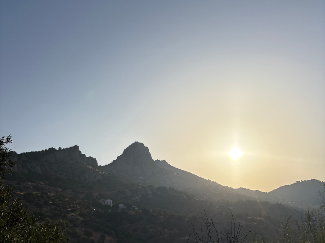 Olive Branch El Chorro主图