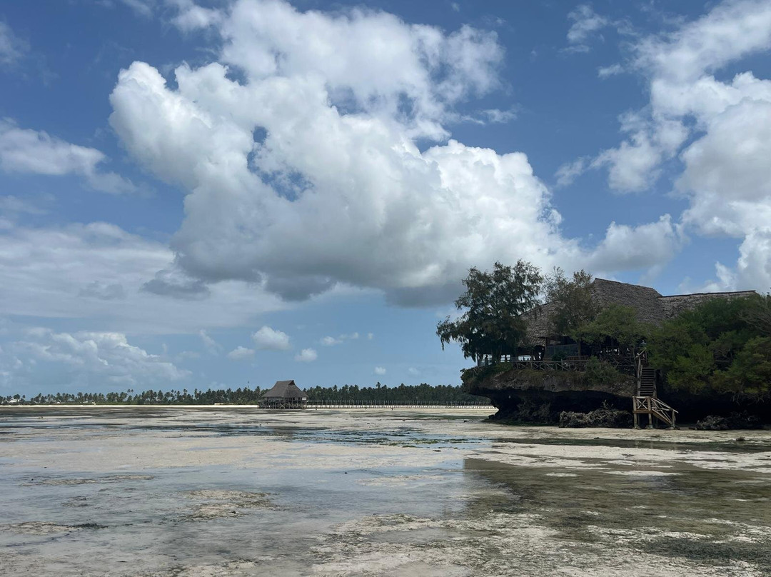 The Island - Pongwe Lodge主图