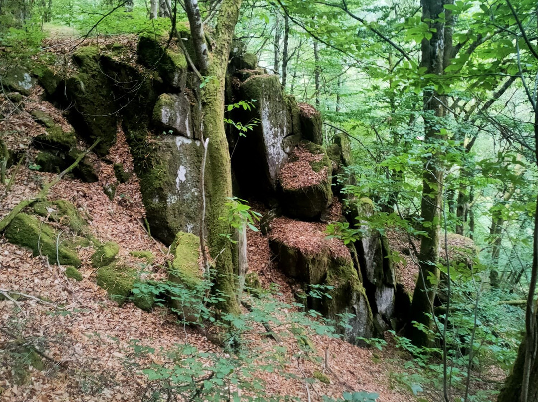 Site de Bes-Bédène-Campouriez必去景点