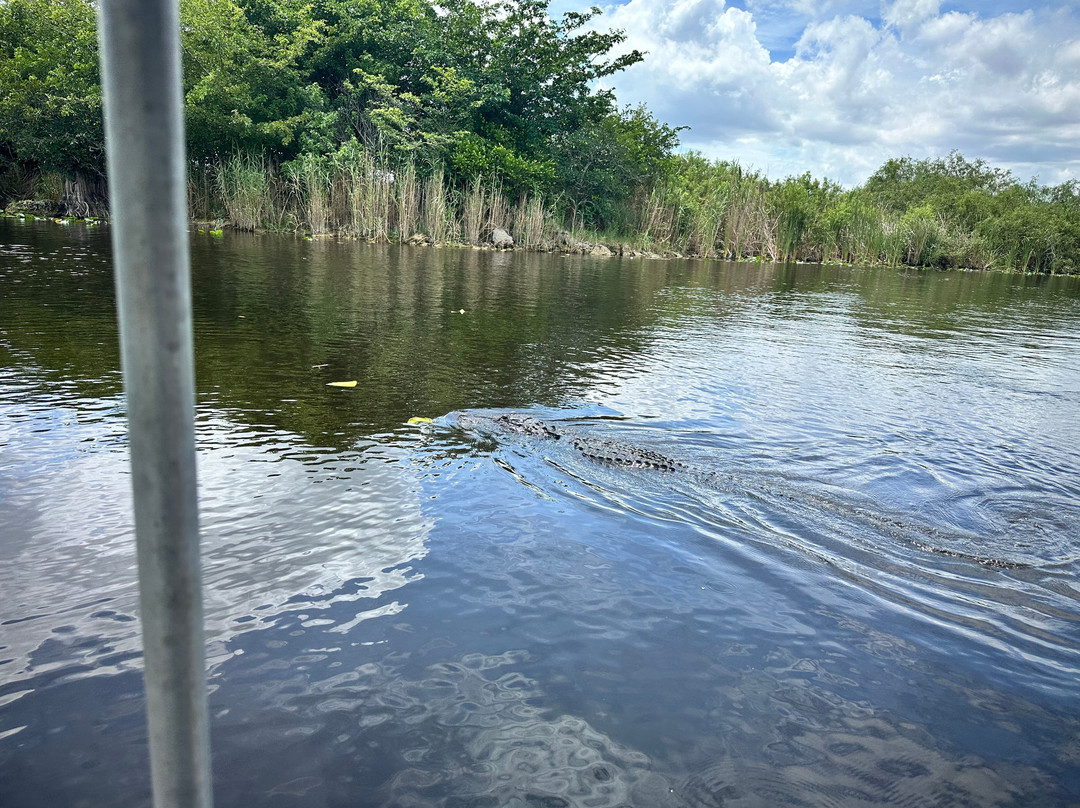 Everglades Holiday Park-劳德代尔堡必去景点