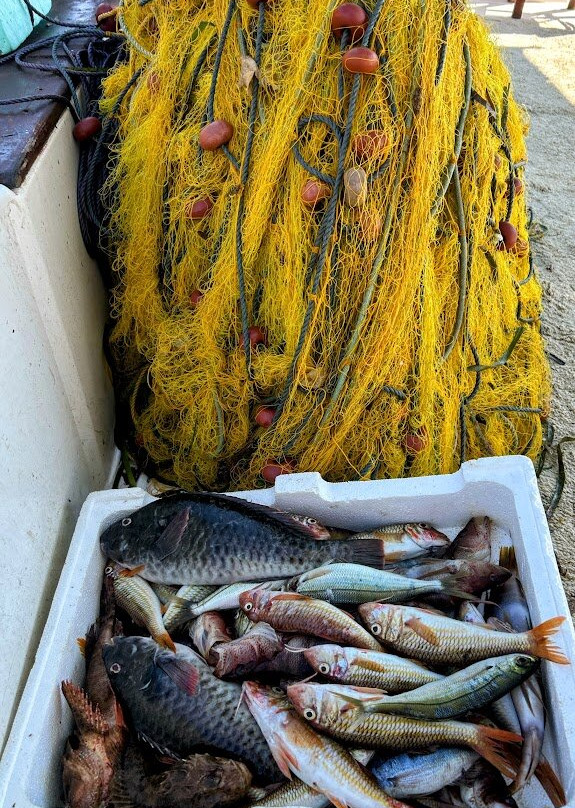 Lemnos Fishing Trips-Myrina必去景点