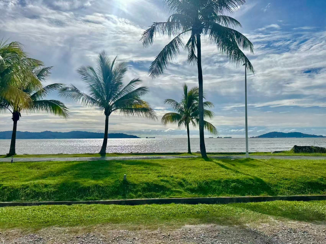 哲斯顿港码头-亚庇必去景点