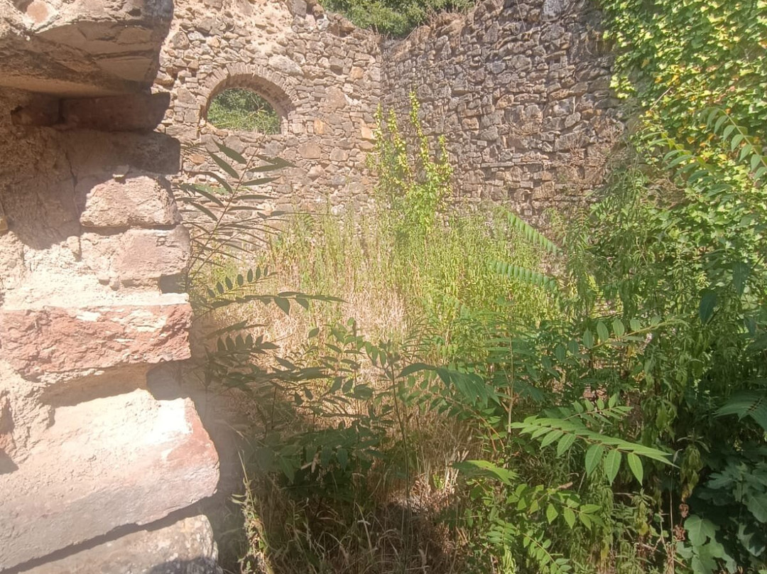 Parco Naturale di Montioni-Suvereto必去景点