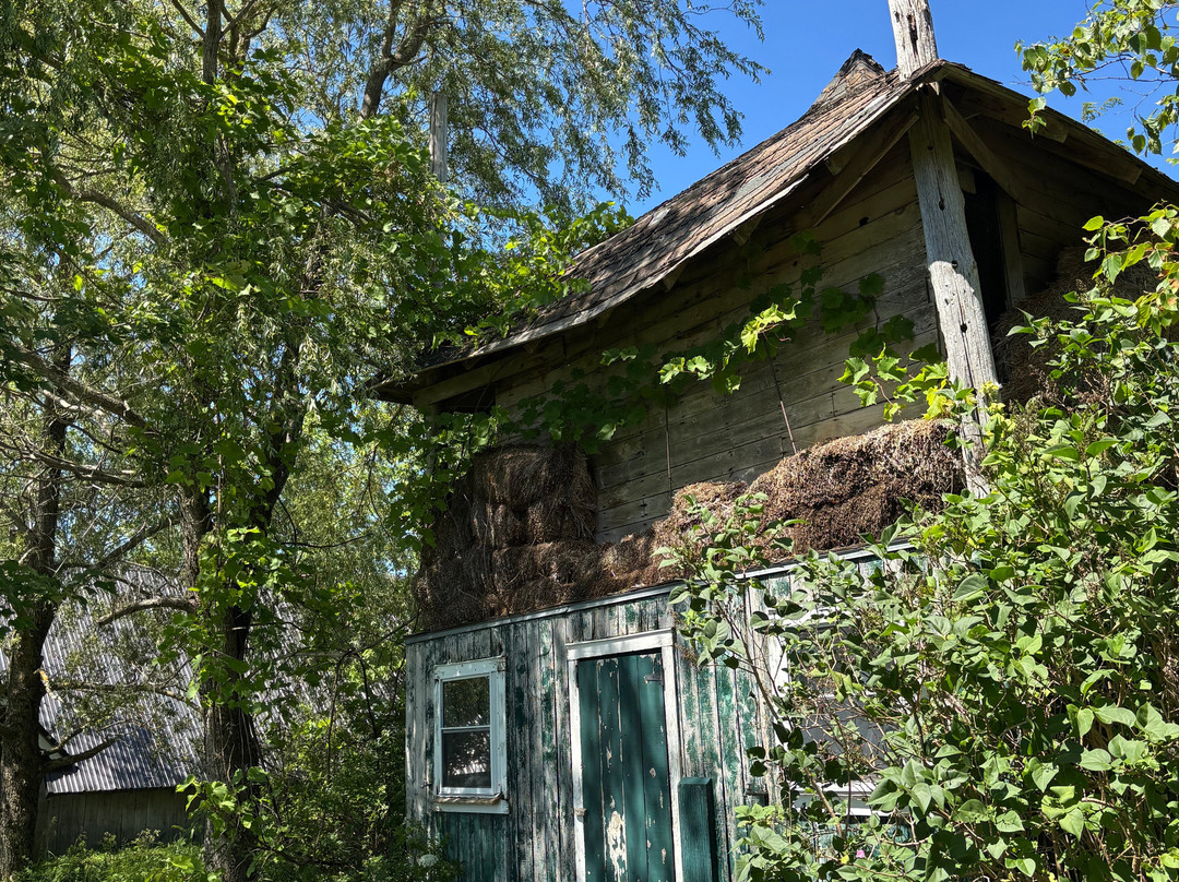 That Dutchman's Cheese Farm-Upper Economy必去景点