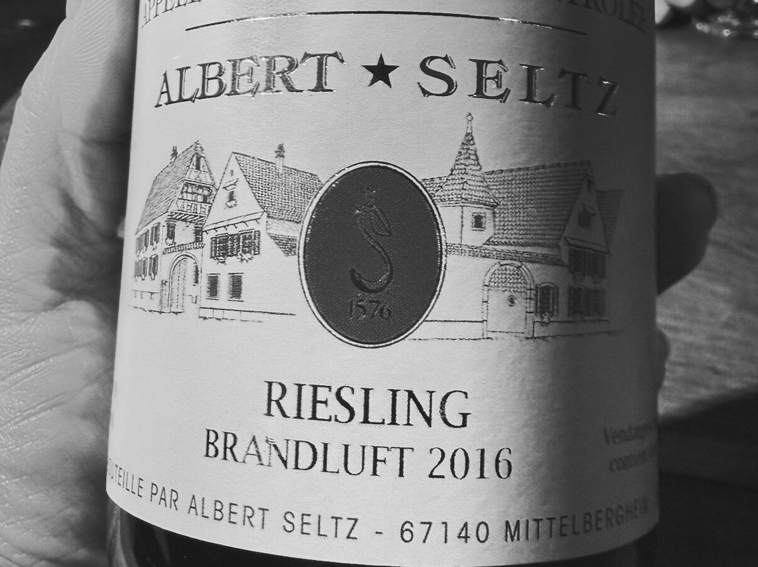 Domaine Albert Seltz-米特贝汉必去景点